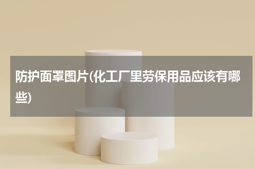 防护面罩图片(化工厂里劳保用品应该有哪些)