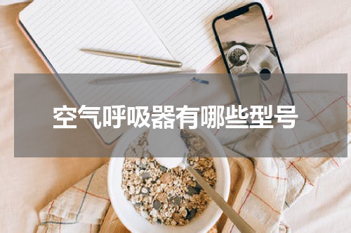 空气呼吸器有哪些型号