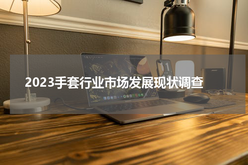 2023手套行业市场发展现状调查